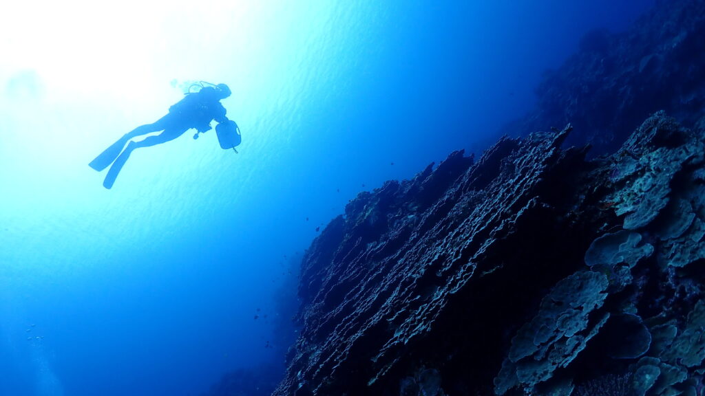 【久米島】広大な海の世界を自由に泳げる
